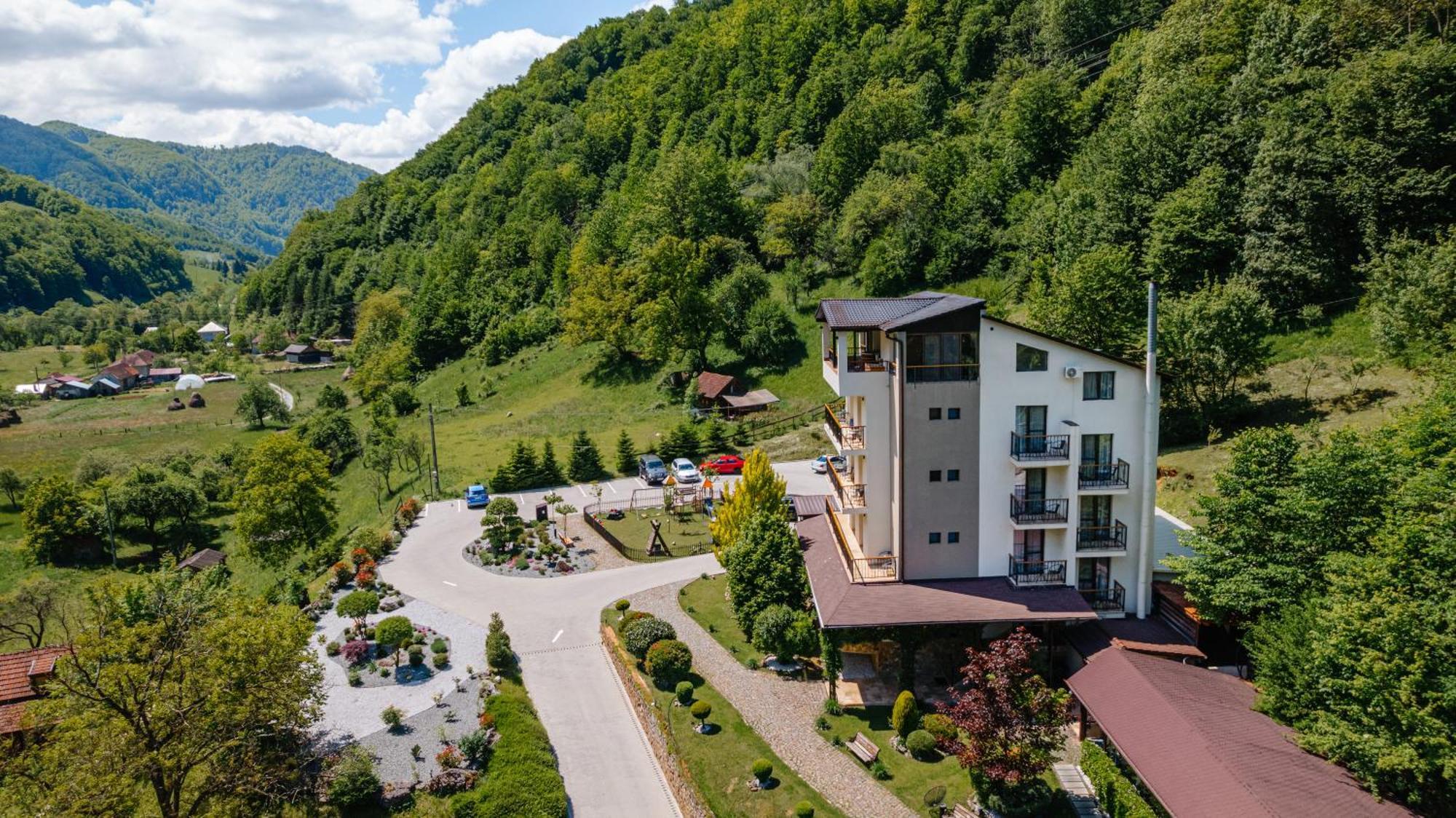 Pensiunea Apuseni Wild Remeţi المظهر الخارجي الصورة